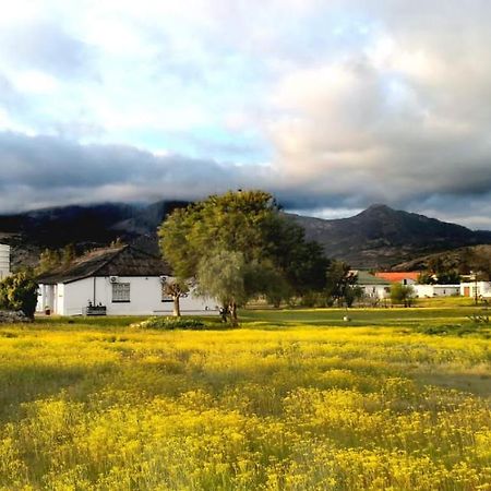 Harry'S Place Guesthouse Kamieskroon ภายนอก รูปภาพ