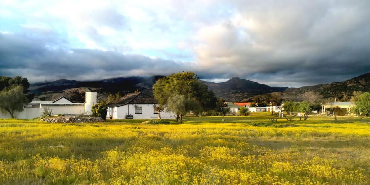 Harry'S Place Guesthouse Kamieskroon ภายนอก รูปภาพ